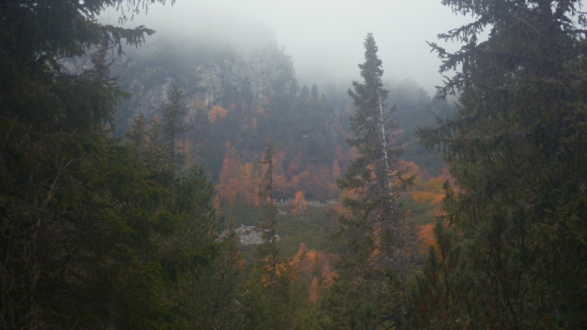 Autumn view of the Strbske Pleso lake. Fog, High Tatras, Slovakia, Europe. 