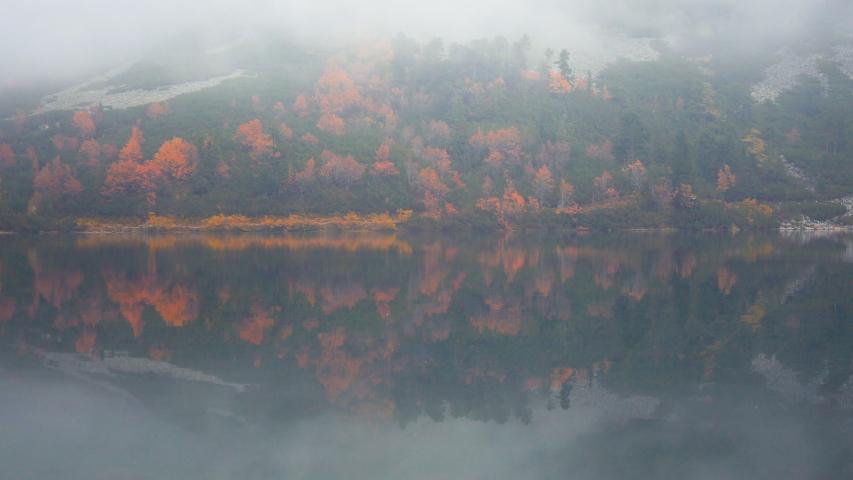 River and fog and landscape scenery in Slovakia image - Free stock photo - Public Domain photo ...