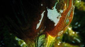 Goo Drips From Alien Creature Closeup - Powered by Shutterstock - Get 15% off with code: PIKWIZARD15