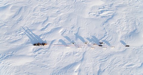 Aerial birds eye view of sleigh dogs moving through frozen arctic landscape.