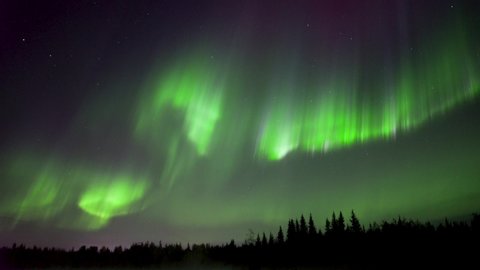 Realistic real time (not timelapse) colorful aurora borealis (northern lights) dancing over trees in Alaska