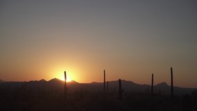 Sunset in the Sonoran desert outside of Tucson, Arizona with Saguaro cacti silhouetted across the landscape. Beautiful, warm cactus and vegetation. - Powered by Shutterstock - Get 15% off with code: PIKWIZARD15