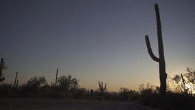 Sunset in the Sonoran desert outside of Tucson, Arizona with Saguaro cacti silhouetted across the landscape. Beautiful, warm cactus and vegetation. - Powered by Shutterstock - Get 15% off with code: PIKWIZARD15