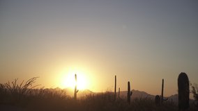 Sunset in the Sonoran desert outside of Tucson, Arizona with Saguaro cacti silhouetted across the landscape. Beautiful, warm cactus and vegetation. - Powered by Shutterstock - Get 15% off with code: PIKWIZARD15