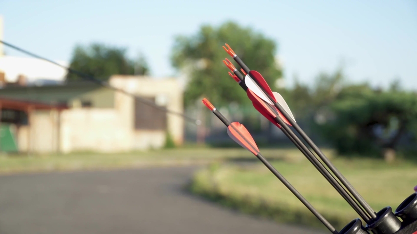 Archery as a sport discipline run in the hall and in the nature. Competition for the best shot an arrow into targets