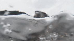 Seamless loopable clip of the young man swimming in the ice hole