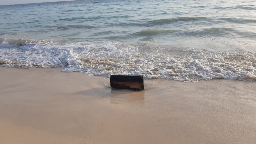 Waves playing with a log on the beach of Punta Cana in Dominican Republic