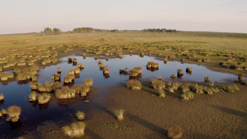 Marshland in the national park of Lithuania. In the middle of huge waterlogged area there is a small lake with beautiful bushes in dark water.
Footage taken on 2019.09.07. 