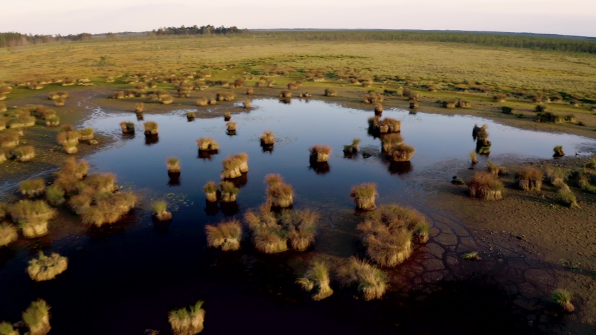 Marshland in the national park of Lithuania. In the middle of huge waterlogged area there is a small lake with beautiful bushes in dark water.
Footage taken on 2019.09.07. 