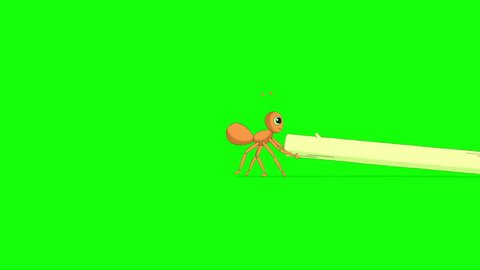 Ant pulls a stem of grass.  Animated Motion Graphic with green screen chroma key. 