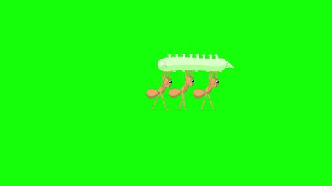 Three Ants carrying a caterpillar. Animated Motion Graphic with green screen chroma key. 