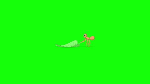 Ant carries a green leaf. Animated Motion Graphic with green screen chroma key. 