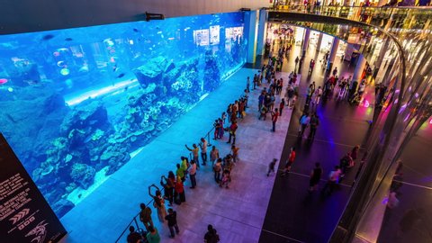 Dubai, United Arab Emirates - July 5, 2014 : People looking at Dubai Mall Aquarium window display in Dubai Mall, UAE time lapse