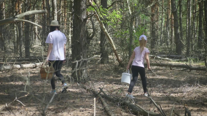 Mom and little daughter go on the road in the autumn forest. The family gather mushrooms and berries in the forest on a sunny day. Mother and daughter walking in the woods. Spending time outdoors.