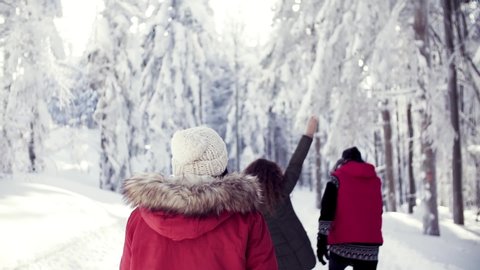 Rear view of group of young friends on a walk outdoors in snow in winter forest.