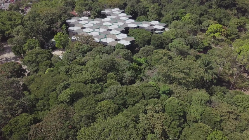 Beautiful slow tilting shot of trees and Jardin Botanico in Medellin, Colombia, Parque Explora