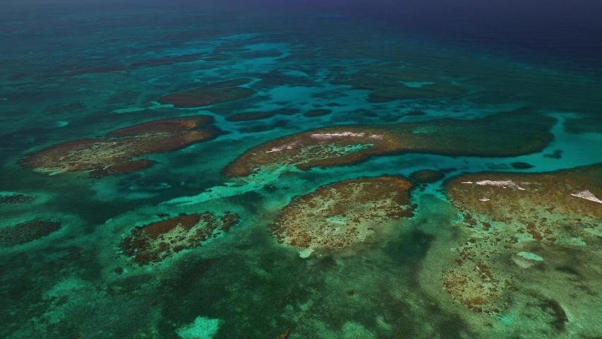 Aerial View Of Great Barrier Reef In Caribbean Ocean . Drone Parallax Shot Tilt Down 4K | Shutterstock HD Video #1036900340