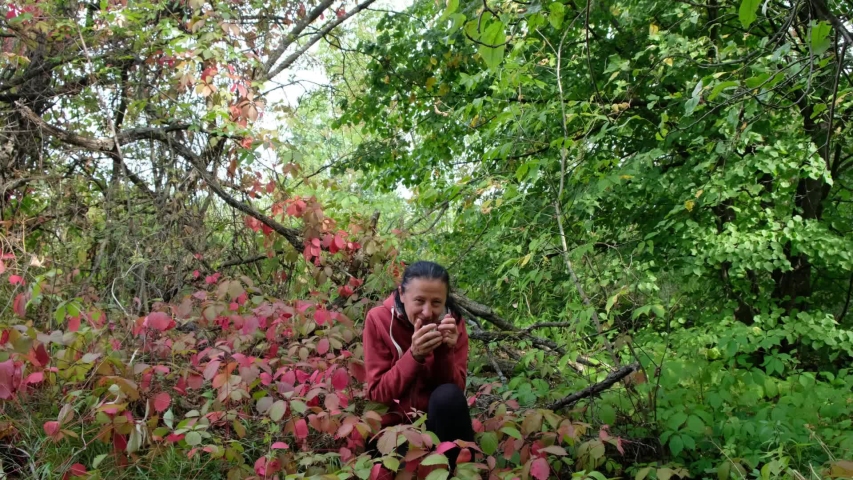 A 59 year old woman in red hoodie warms herself with hot tea on an autumn cool walk. Woman sits in red leaf of wild grapes in forest in Ukraine.