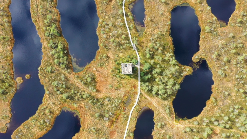 Aerial view A large group of tourists walk along rivers and lakes that surround green forests.