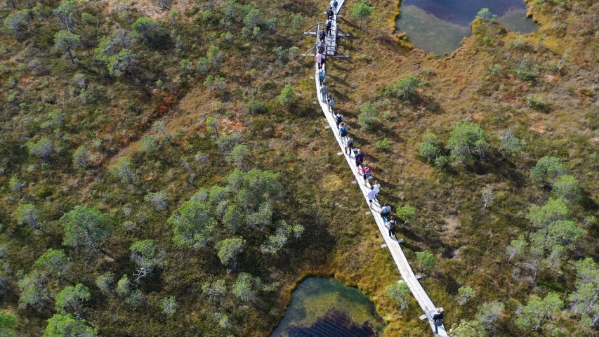 Aerial view A large group of tourists walk along rivers and lakes that surround green forests.