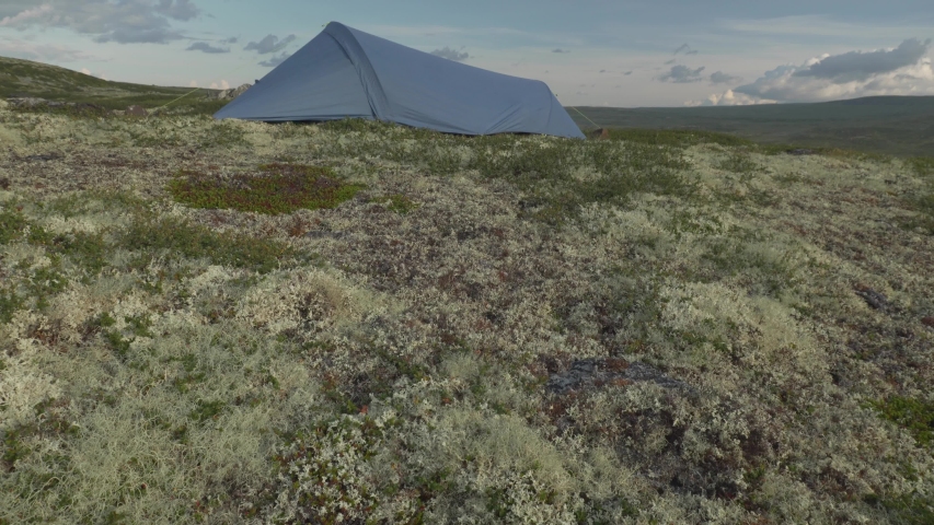 Wild camping tent in rural Norway countryside, Scandinavia, camera tilt up