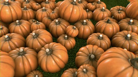 Halloween pumpkin animation 4K pushing slow camera move top view on grass