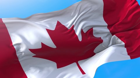 Canadian flag video waving in wind 4K. Realistic Canada background. Canadian background looping 3840x2160 px.