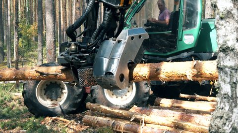 Tractor cuts trunks in pieces while working in forest.