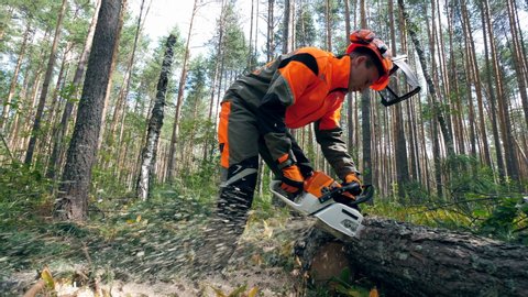 Worker in uniform cuts a tree trunk with a chainsaw.