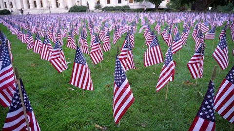 Field of American Flags waving in the wind