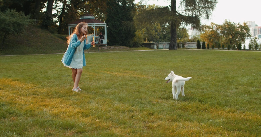Caucasian pretty small girl palying with a white husky dog in the nice park on the lane on a sunny summer day.
