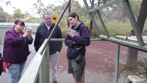 Central Coast, NSW / Australia - 06 28 2019: Zookeeper introduce and feed local australian animal to zoo visitors during tour