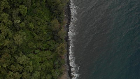 Aerial of Jungle Cliffs and Beach on Hawaii's Big Island