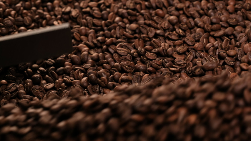 Production of fresh fried coffee beans roasting factory process. Prepared coffee beans mixing around on a cooling plate of an oven. Royalty-Free Stock Footage #1037000870