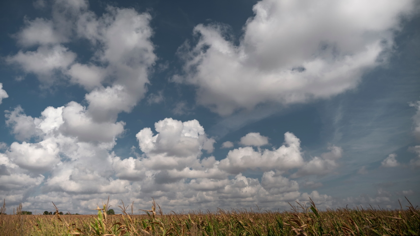 Time lapse of clouds moving over corn field
