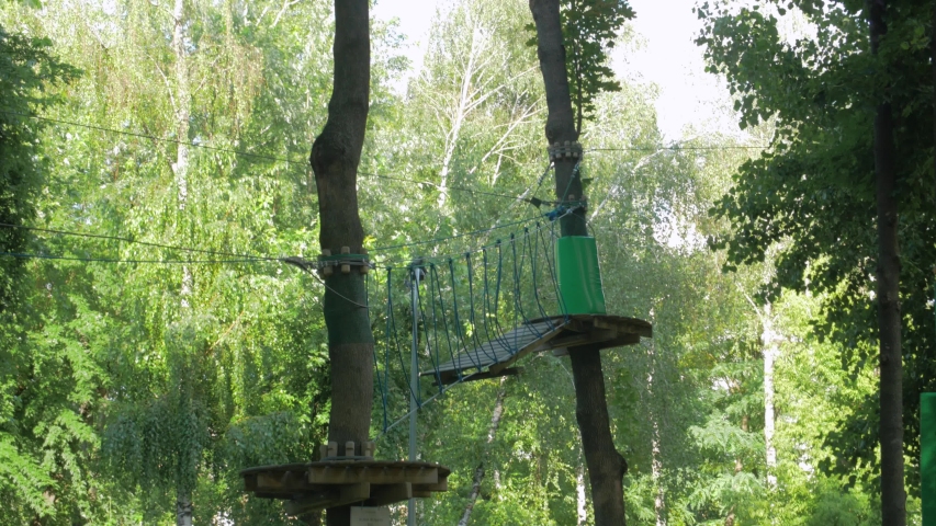 A Suspension Bridge In the Forest