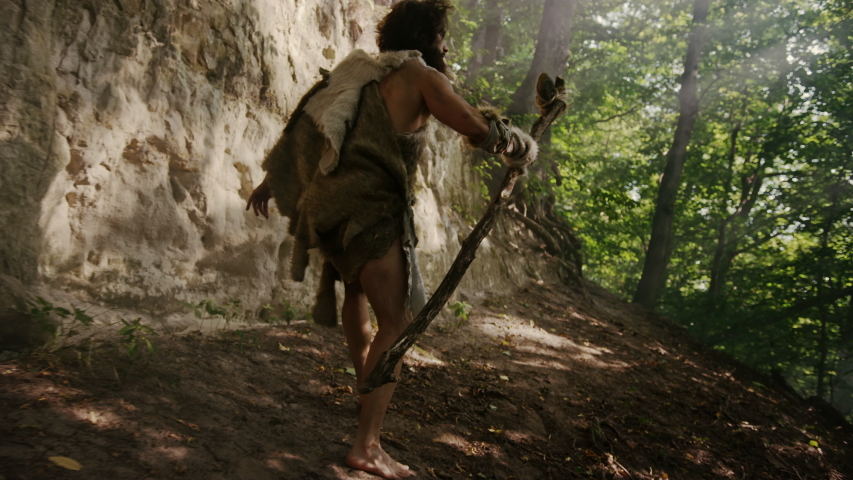 Primeval Caveman Wearing Animal Skin Holds Stone Tipped Hammer Looks Around, Exploring Prehistoric Forest, Ready to Hunt Animal Prey. Neanderthal Going Hunting into Jungle. Following Back View Shot | Shutterstock HD Video #1037017286