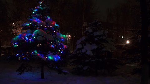 Living christmas tree in the winter forest forest with blink lights. Lights flicker on the fir tree in the woods at night. New Year night forest