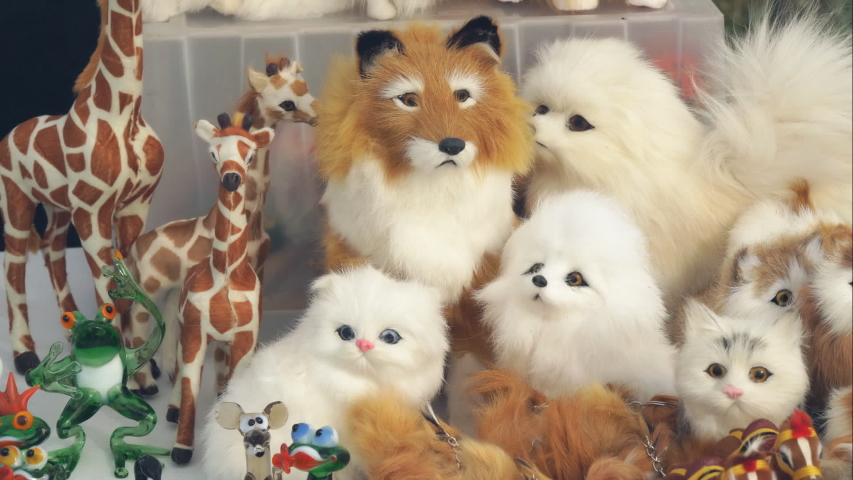 Soft artificial toys animals in front of the camera