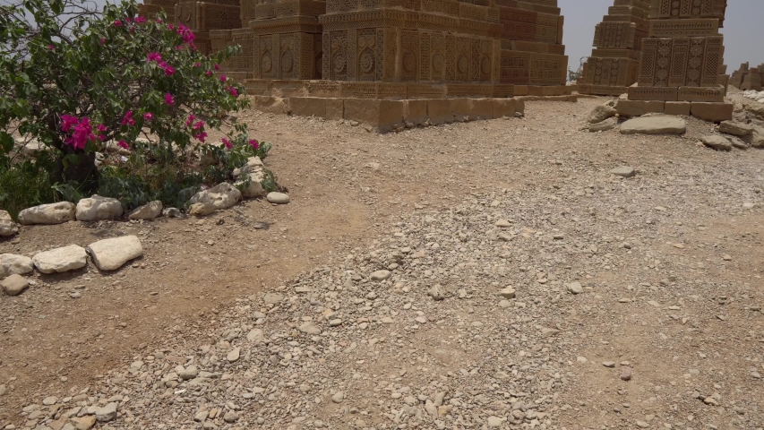 Karachi Chaukhandi Tombs Islamic Cemetery Side View with Purple Flowers on a Sunny Blue Sky Day