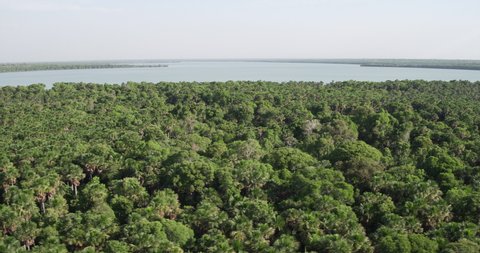 Aerial panorama of amazon rainforest with the amazon river in the background.