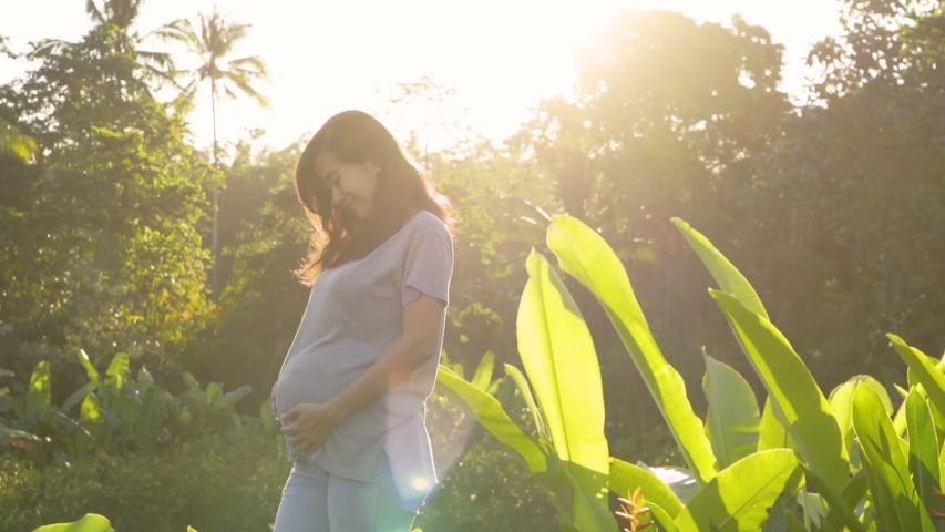 Free pregnant Stock Video Footage: Download pregnant clips for free
