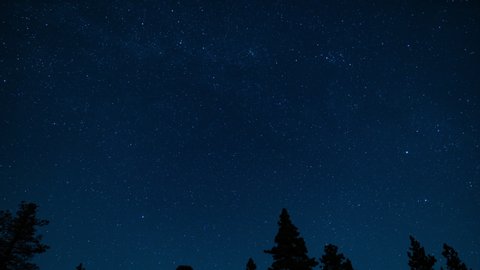 Perseid Meteor Shower And North Star Polaris 24mm Over Forest Tilt Down