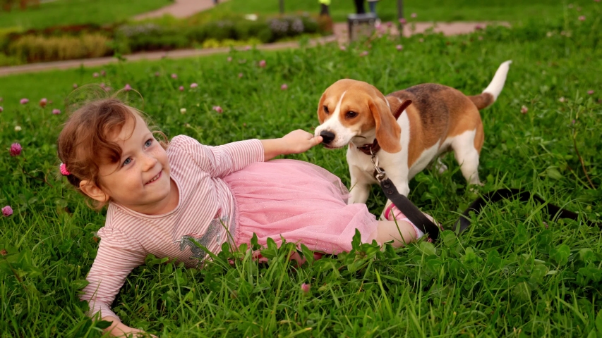 Adorable little girl plays joyfully with her dog.