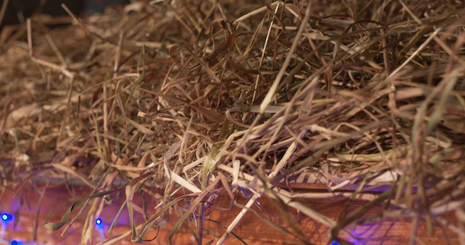 Holy night. Nativity scene. Jesus birth installation. Nativity of the blessed virgin.