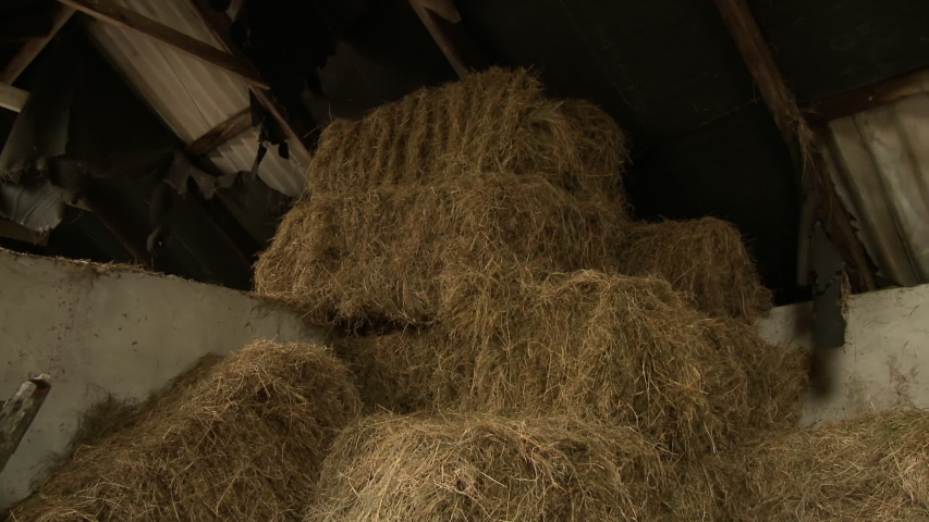 Handheld, low angle, medium close up shot of stacks of hay bales.