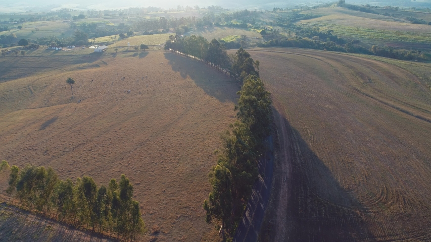 Sunset aerial view at countryside with sunbeams. Great landscape. Rural scenery. Plantation field.