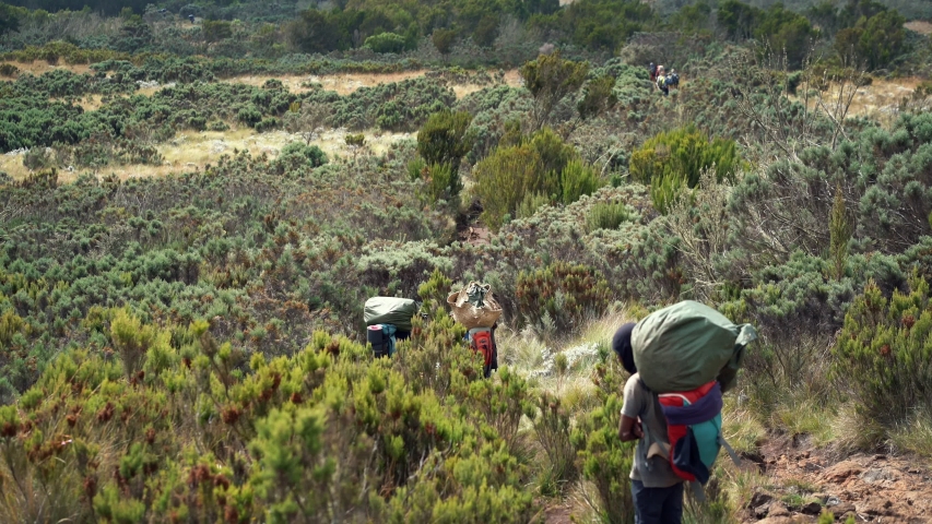 Porters Carry Heavy Stuff On Their Head, Cimbing Mount Kilimanjaro, Mount Kilimanjaro National Park, Tanzania