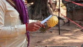Unidentifiable woman cutting pineapple in Siem Reap in Cambodia. Food preparation video. Hands of woman preparing fruits for sale. Asia street food. Tropical fruit.