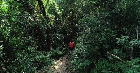 Woman cyclist cross country biking in tropical forest